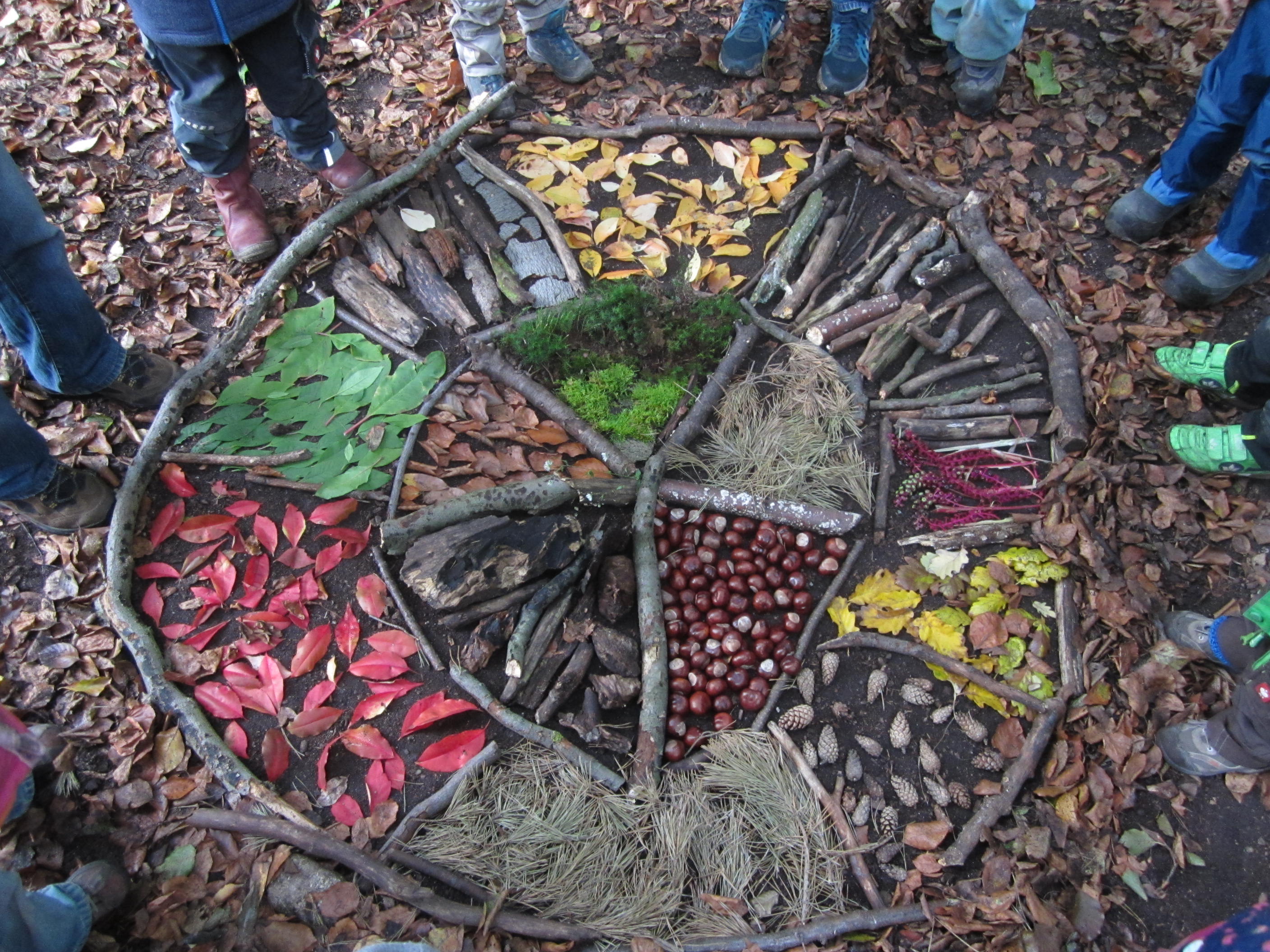 Herbst Mandalas – WALDKITZ